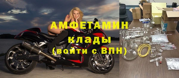 сатива Абаза