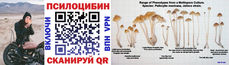 Галлюциногенные грибы GOLDEN TEACHER  ссылка на мегу ONION  Тулун 